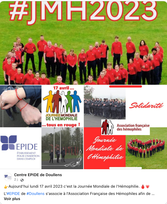 Association française des hémophiles